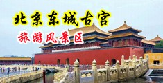 胖美女日逼视频中国北京-东城古宫旅游风景区
